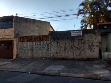 Terreno - Aluguel - Parque Paulistano - São Paulo - SP